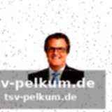 Wide receiver: vielfalt an talenten