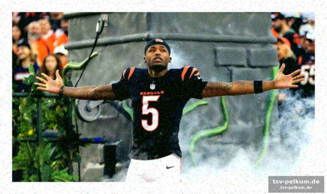 Wie funktioniert der franchise tag genau?