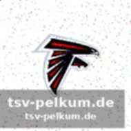 Indianapolis colts: daniel jones und alec pierce im blickfeld