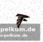 Anklagepunkte und kaution