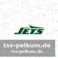Bills holen sich verstärkung im wide receiver corps