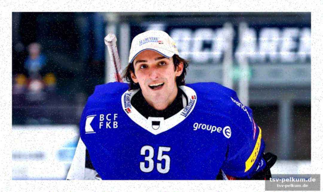 Die nhl-veteranen: verpasste gelegenheiten und eine karriere in der schweiz