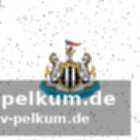 Newcastle in der krise