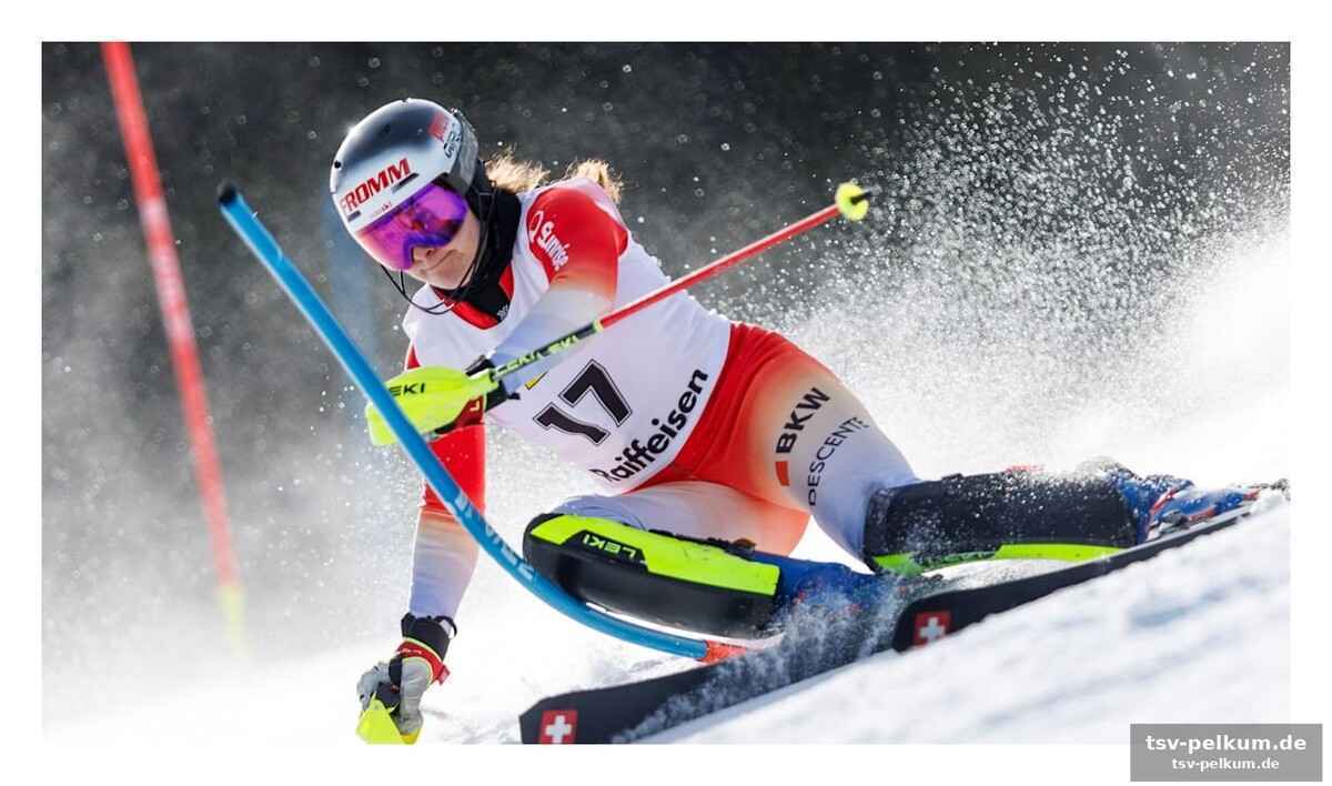 Neue ski, neue saison, alles auf eine karte