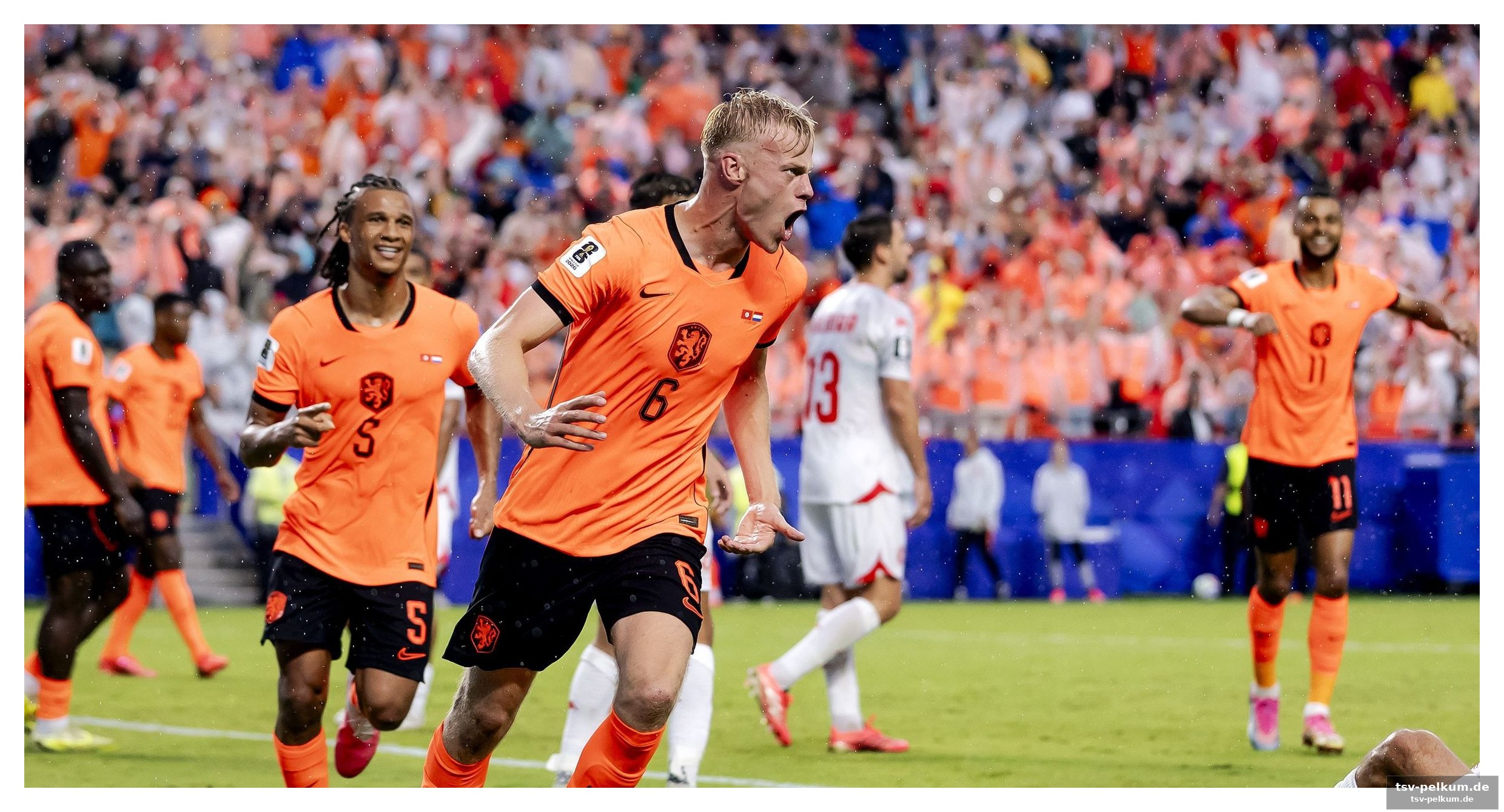 Van hecke stellt die weichen für die k.o.-runde