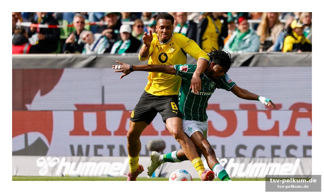 Ein starker bvb-block für die nationalmannschaft