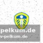 Yakin signalisiert offenheit für rückkehr