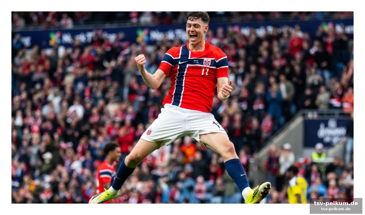 Haaland schaut zu, während die mannschaft überzeugt