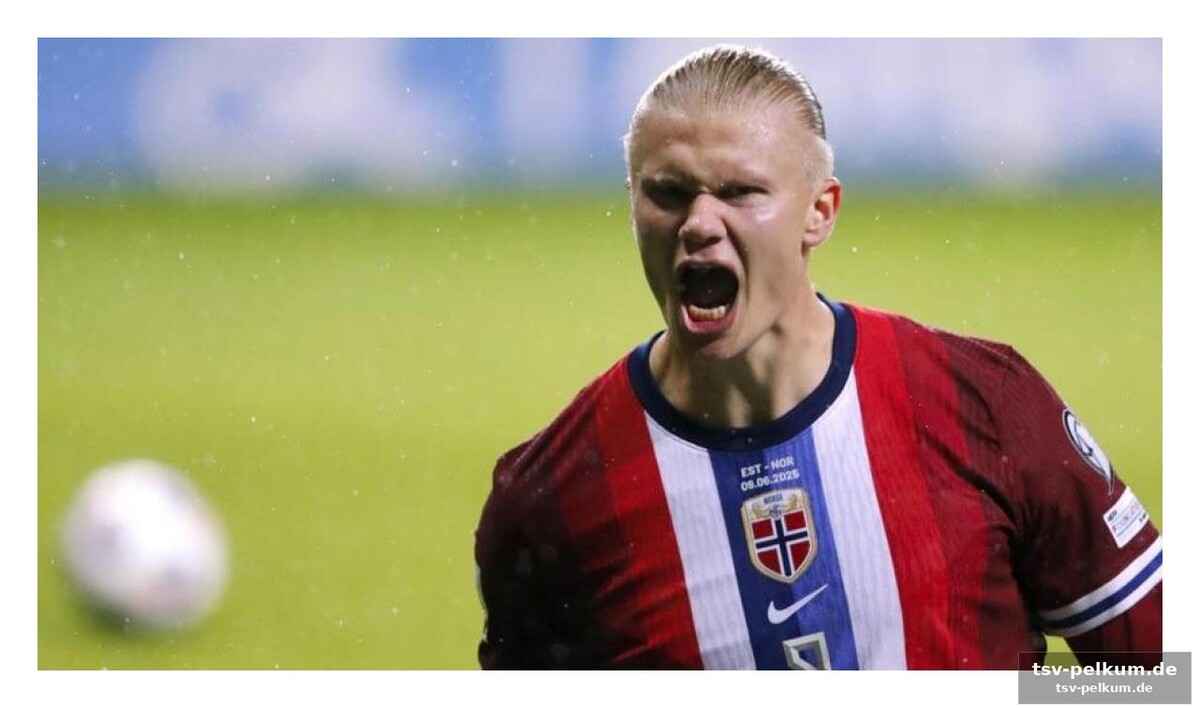 Haaland, odegaard & co.: die stars im rampenlicht