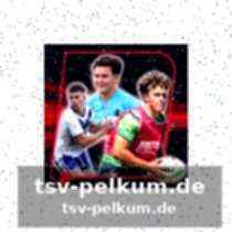 3. Heamasi makasini (wests tigers) – die show eines einzelnen