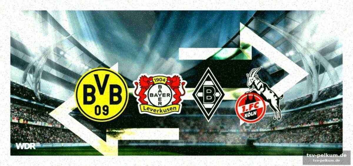 Bayer leverkusen: oermann kehrt heim, kovar geht