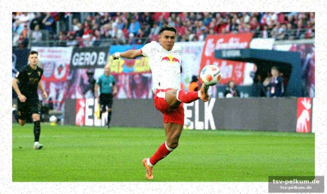 Vfb stuttgart: nusas schlechtes omen und die chance auf wiedergutmachung
