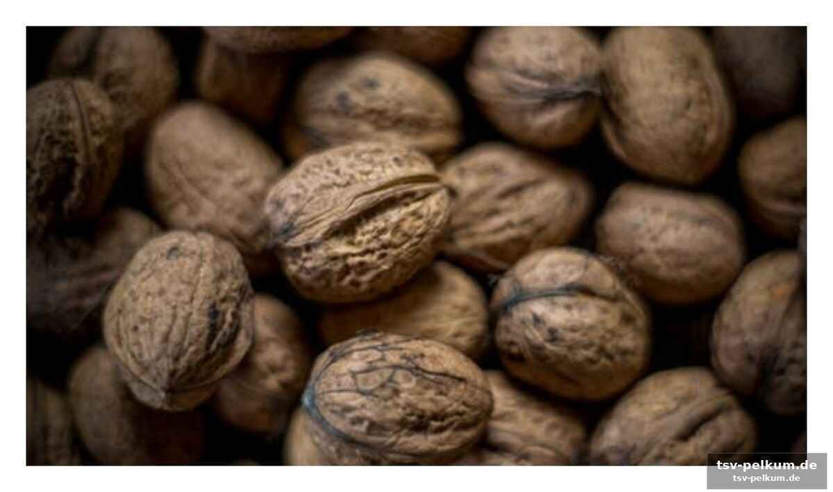 Warum walnüsse so viel mehr als nur ein snack sind