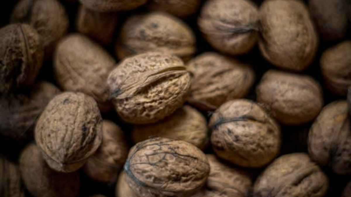 Nüsse: der herz-boost, den sie noch nicht kennen!
