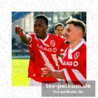 Wollitz lobt den gegner
