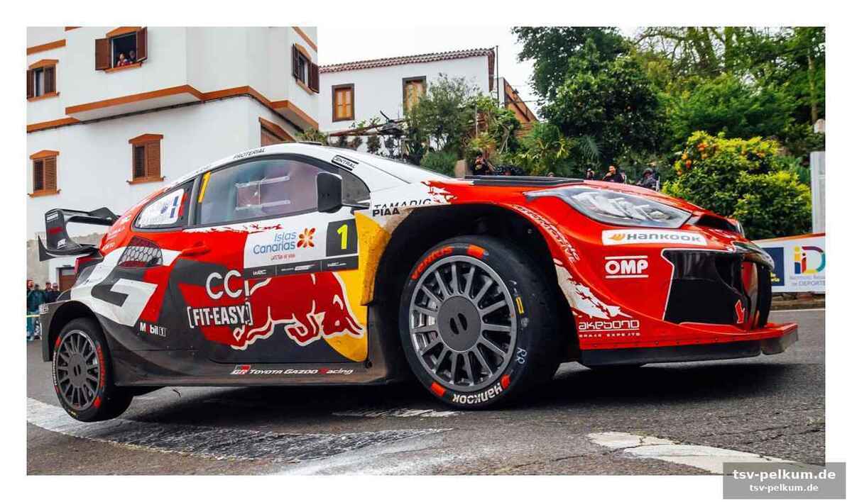 Hyundai in schwierigkeiten: sordo resigniert