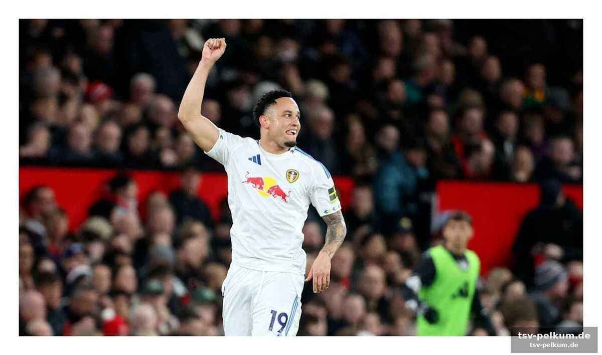 Leeds united klammert sich an die hoffnung