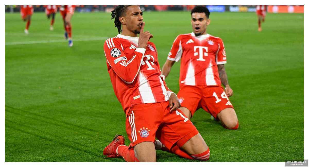 Die robben-vergleiche und mehr