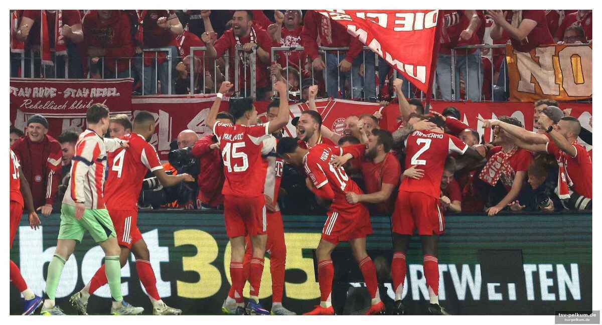 Ultras entschuldigen sich binnen minuten