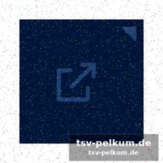 Die ergebnisse im überblick