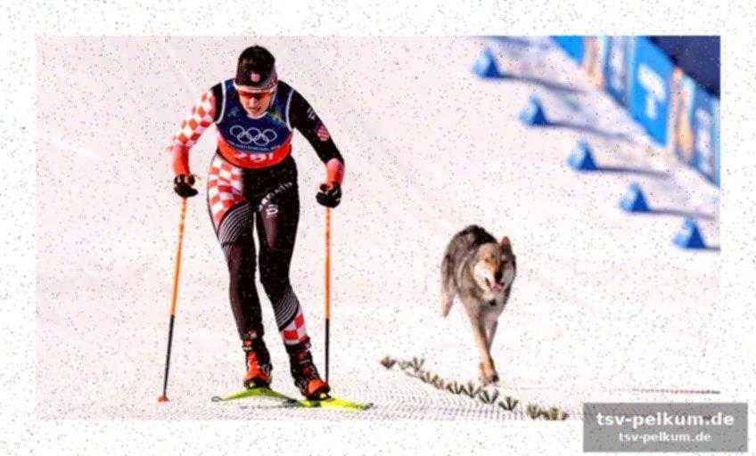 Deutsche biathletinnen vorne, frust bei den biathleten
