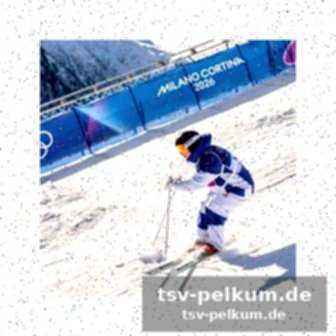 Deb-frauen im viertelfinale des eishockeys
