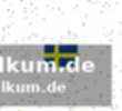 Die ausgangslage: deutschland gegen schweden im vergleich