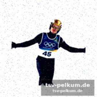 Strafverfolgung und die rolle der plattformen