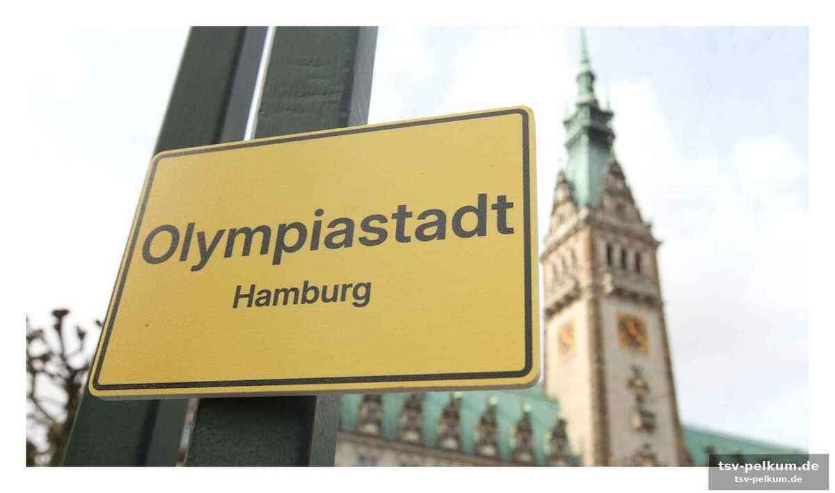 Das milliardendebakel: die stimmen der kritiker