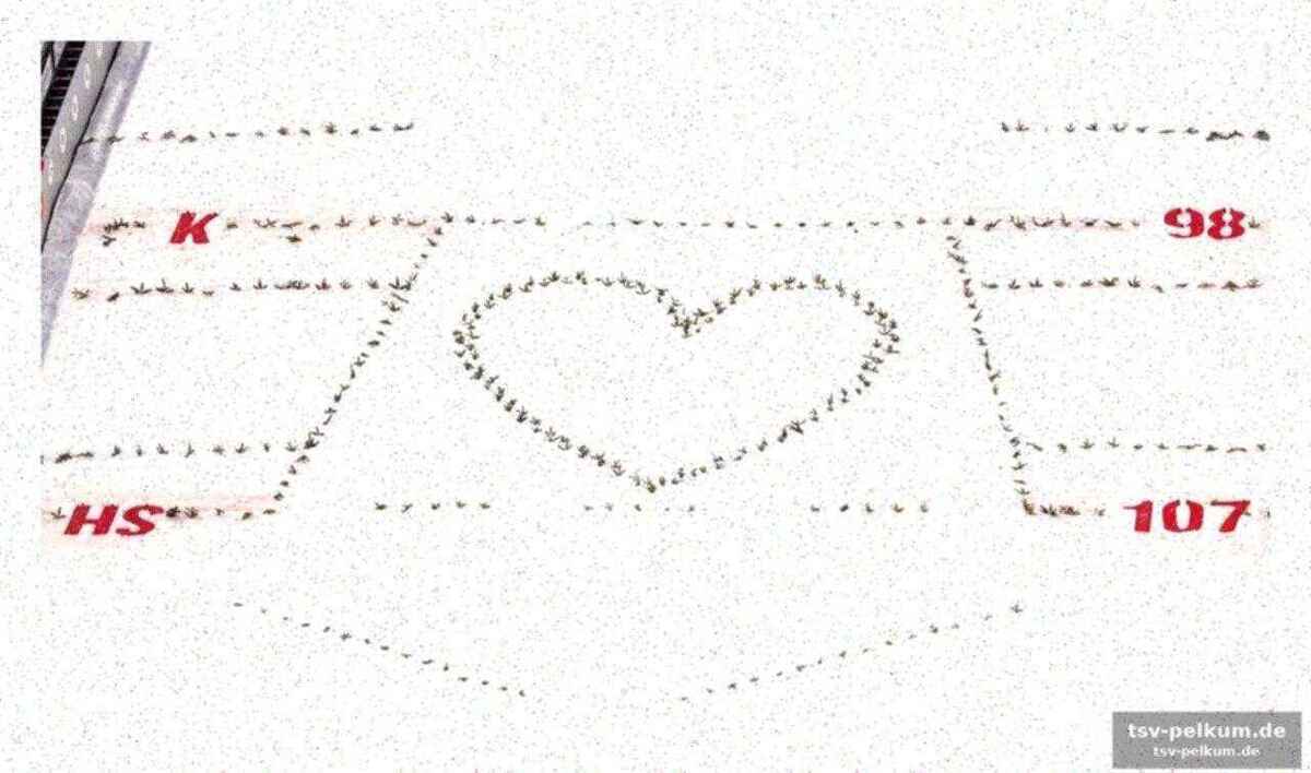 Valentinstag als möglicher faktor?