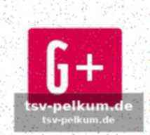 Eishockey-finale: usa krönt sich zum champion
