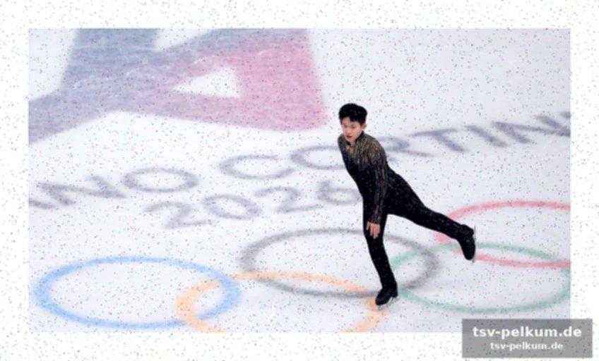 Sportsgeist trotz niederlage: malinin gratuliert schaidorow