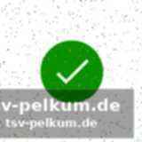 Sichtbarkeit des pucks als hauptproblem
