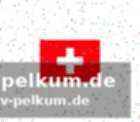 Fischers begründung für die führungsauswahl