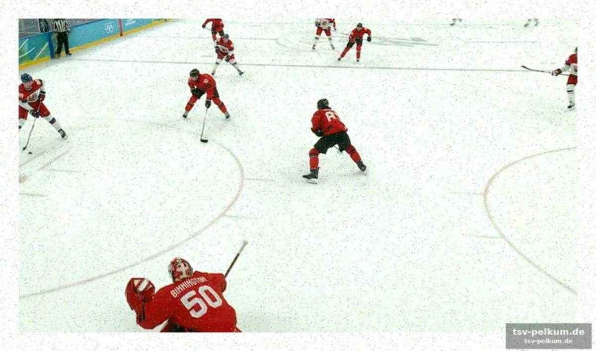 Der umstrittene treffer von ondrej palat