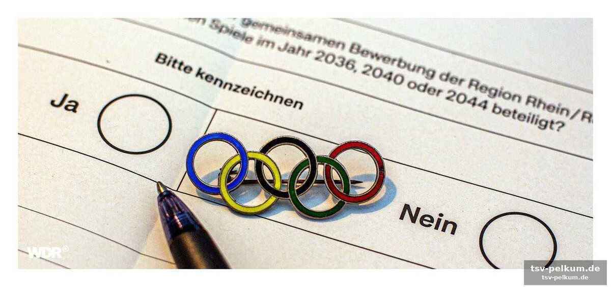 Kritische stimmen und die kostenfrage
