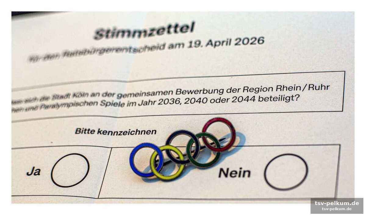 Die dunklen seiten: kosten, risiken und konkurrenz