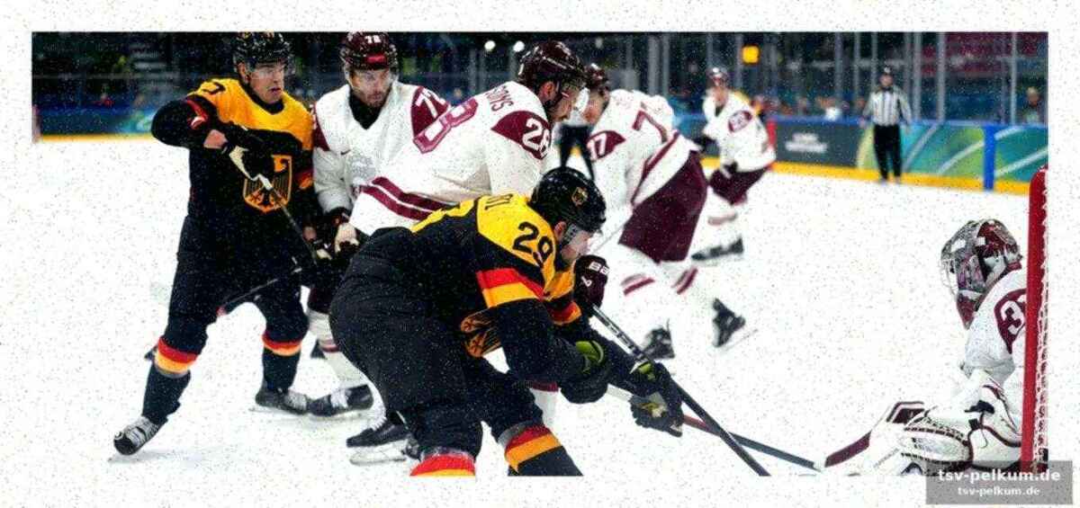 Die eisbären-beteiligung