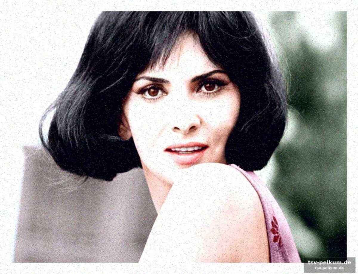 Die legende gina lollobrigida und ihre nachfahrin