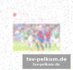 Tkachuk rechtfertigt seine äußerung