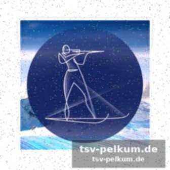 Ski freestyle: halfpipe der männer