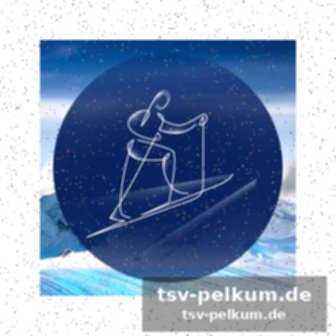 Eishockey: kampf um die medaillen