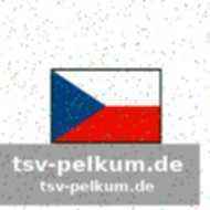 Weitere medaillenanwärter: slowakei und deutschland