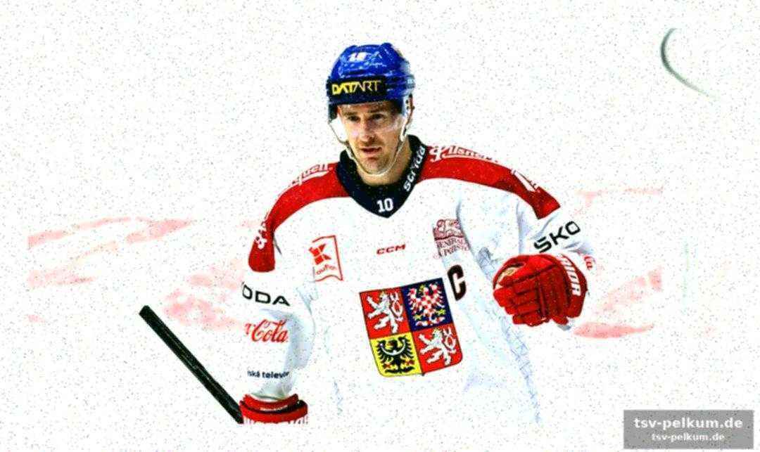 Cervenka erneut captain der tschechen