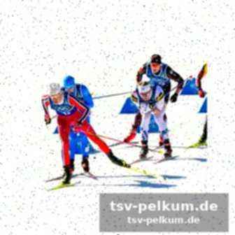 Eishockey: bittere niederlage für das deb-team