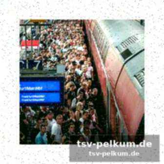 Empfehlungen für fans