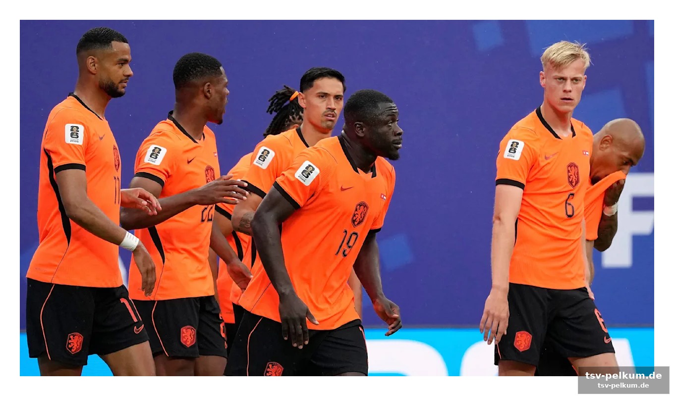 Japan muss gegen brasilien ran
