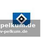 Die offizielle begründung des dfb
