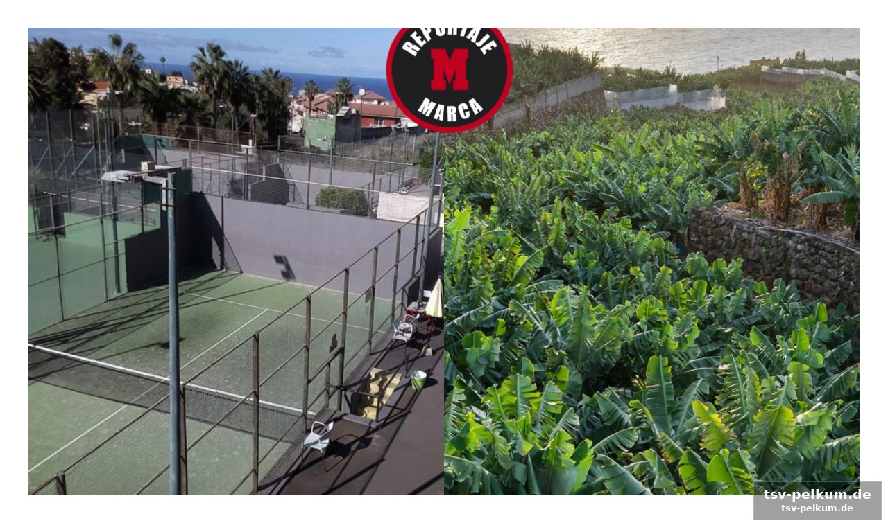 Von der nische zum massenphänomen