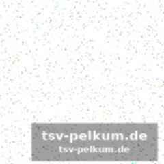 Die echten gewinner sitzt nicht auf der bank